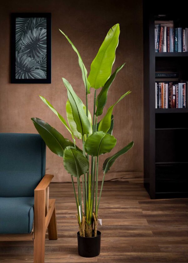 Vista frontale della pianta artificiale Strelitzia da 160 cm - Piante artificiali di altissima qualità e realismo, perfette per arredare con un tocco di eleganza e di stile.