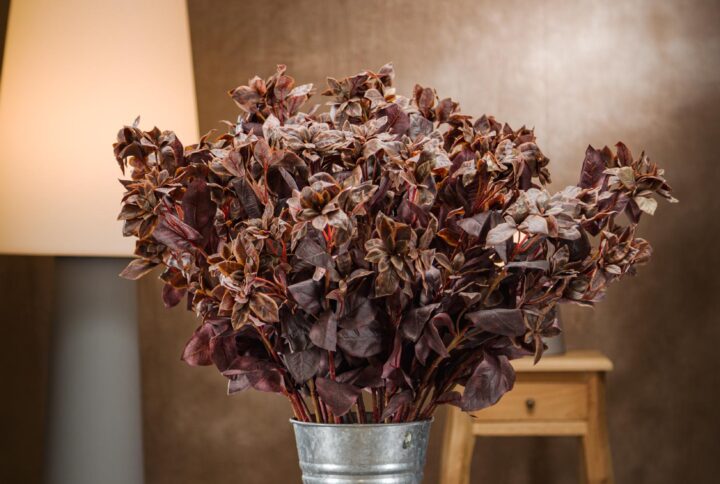 ramo artificiale di Alternanthera Brasiliana bordeaux scuro