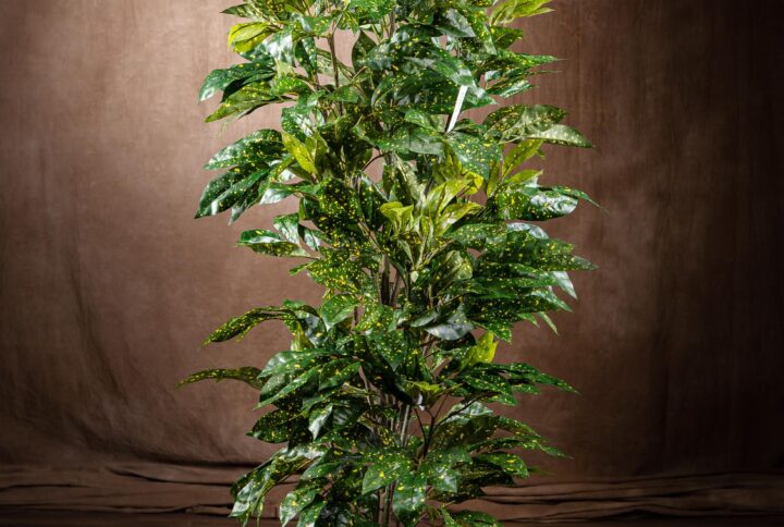 Immagine frontale del prodotto - Aucuba Pianta Artificiale in tutta la sua eleganza