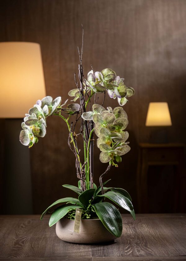 Vista frontale del prodotto - Orchidee finte online in vaso di ceramica grigio, con splendide orchidee screziate realistiche.